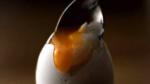 British Heston Blumenthals Softboiled Eggs Appetizer