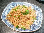 American Easy and Simple Fried Rice Appetizer
