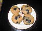 Canadian Whole Wheat Blueberry Muffins 2 Dessert
