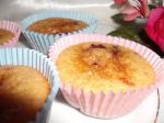 American Wonderful Strawberry and Blueberry Muffins or Cupcakes Dessert