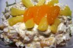 American College Students Brilliant Doctored Chicken Fruit Salad Dinner