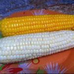 Corn Baked in the Oven recipe