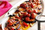 American Marrakesh Eggplants and Tomatoes Recipe Appetizer
