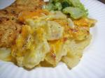 American Cheating Scalloped Potatoes Appetizer