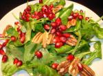 Canadian Arugula Salad With Pomegranate and Toasted Pecans Appetizer