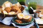 British Scotch Eggs Recipe 18 Appetizer