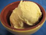 American Vanilla Ice Cream  Creamy  Delicious Dessert