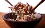 Chinese Chinesey Chicken Salad Recipe Appetizer