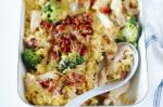 American Chicken and Broccoli Pasta Bake Recipe 1 Appetizer