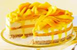 American Mango Cheesecake Recipe 2 Dessert