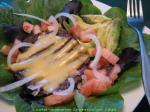 American Low Fat Vegetarian Cheeseburger Salad Appetizer