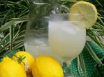 American Sparkling Lemonade 2 Appetizer