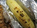 American Kittencals Foilwrapped Grilled Corn Dinner