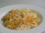 British Creole Grits And Cheese Casserole En Appetizer