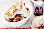 British Queen Pudding Recipe Dessert