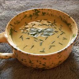 Canadian Cold Zucchini Soup with Curry Soup