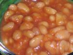 American Baked Beans  Ingredients Appetizer