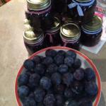 British Plums Marmelade Without Gelling Sugar Dessert