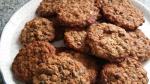 British Vegan Chocolate Chip Oatmeal and Nut Cookies Recipe Dessert