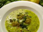 Greek Middle Eastern Lamb and Spinach Soup Appetizer