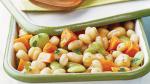 American Skinny Tangy Triple Bean Salad Appetizer