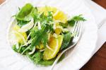 Italian Fennel And Orange Salad Recipe 2 Drink