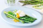 American Asparagus With Poached Egg Recipe Appetizer
