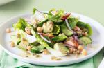 American Salmon and Avocado Salad With Cucumber and Chickpeas Recipe Appetizer