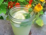 Vietnamese Vietnamese Mint Lemonade Appetizer