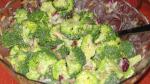Italian Broccoli Salad I Recipe Appetizer