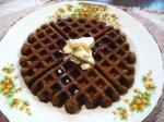 Belgian Gingerbread Waffles 24 Dessert