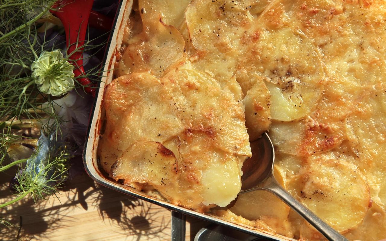 Swedish Dilled Potato Gratin Recipe Appetizer