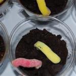 Canadian Mud and Worms Recipe Dessert