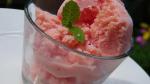 Canadian Watermelon Sherbet Recipe Dessert