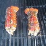American Grilled Rock Lobster Tails Recipe Appetizer