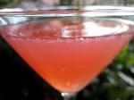American Sour Pink  Adult Beverage Dessert