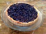 American Blueberry Tart  Couldnt Be Easier Dessert