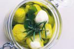 British Labne marinated Yoghurt Cheese Balls Recipe Appetizer