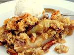 American Apple Pecan Crisp  Once Upon a Chef Dessert