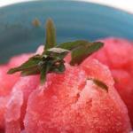 American Watermelon Sorbet to the Peppermint and Tarragon Appetizer