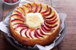 American Peach And Raspberry Cheesecake Recipe Dessert