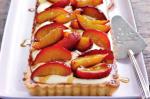 American Roasted Nectarine Tart Recipe Dessert