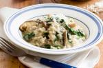 Canadian Mushroom And Spinach Risotto Recipe 1 Appetizer