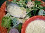 American Low Fat Celery Seed Salad Dressing Appetizer