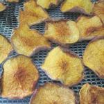 Dried Peaches from the Drying Oven recipe