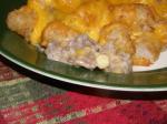 American Arizona Casserole 1 Dinner