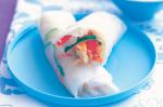 American Chicken And Vegie Ricepaper Rolls Recipe Appetizer
