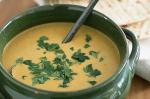 Indian Curried Lentil Soup Recipe 12 Appetizer