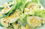 Indian Summer Chicken Salad Recipe 2 Appetizer
