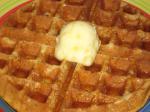 American Waffles W Wheat Flour Dessert